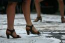 Les Pieds sur la Nappe 24 * 4368 x 2912 * (4.75MB)
